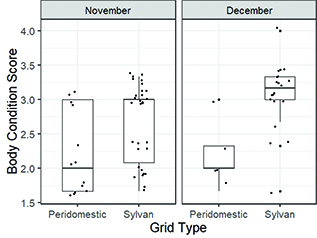Click to Enlarge View Fig 3