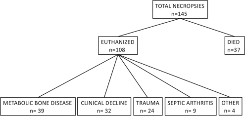 Click to Enlarge View Fig 1