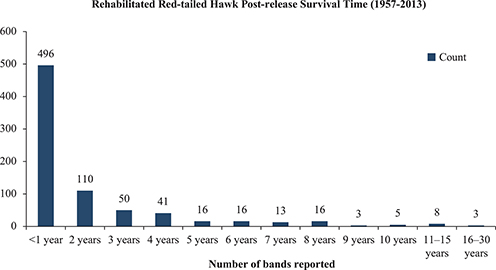 Click to Enlarge View Fig 3