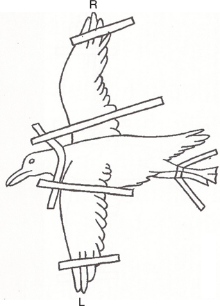 Click to Enlarge View Fig 6