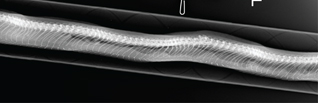 Click to Enlarge View Fig 15