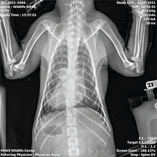 Click to Enlarge View Fig 2