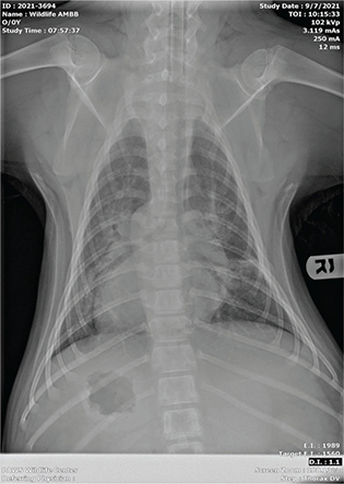 Click to Enlarge View Fig 3