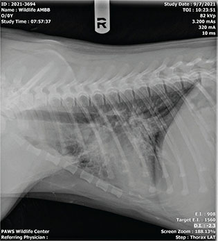 Click to Enlarge View Fig 4