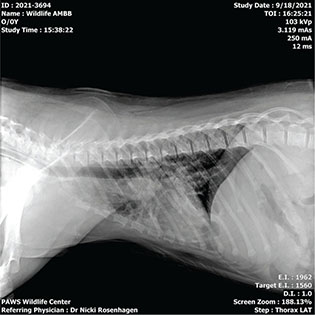 Click to Enlarge View Fig 5