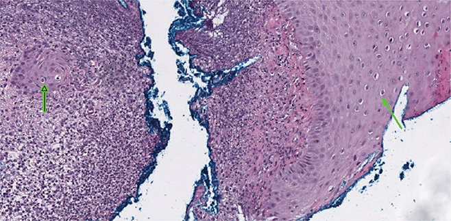 Click to Enlarge View Fig 3