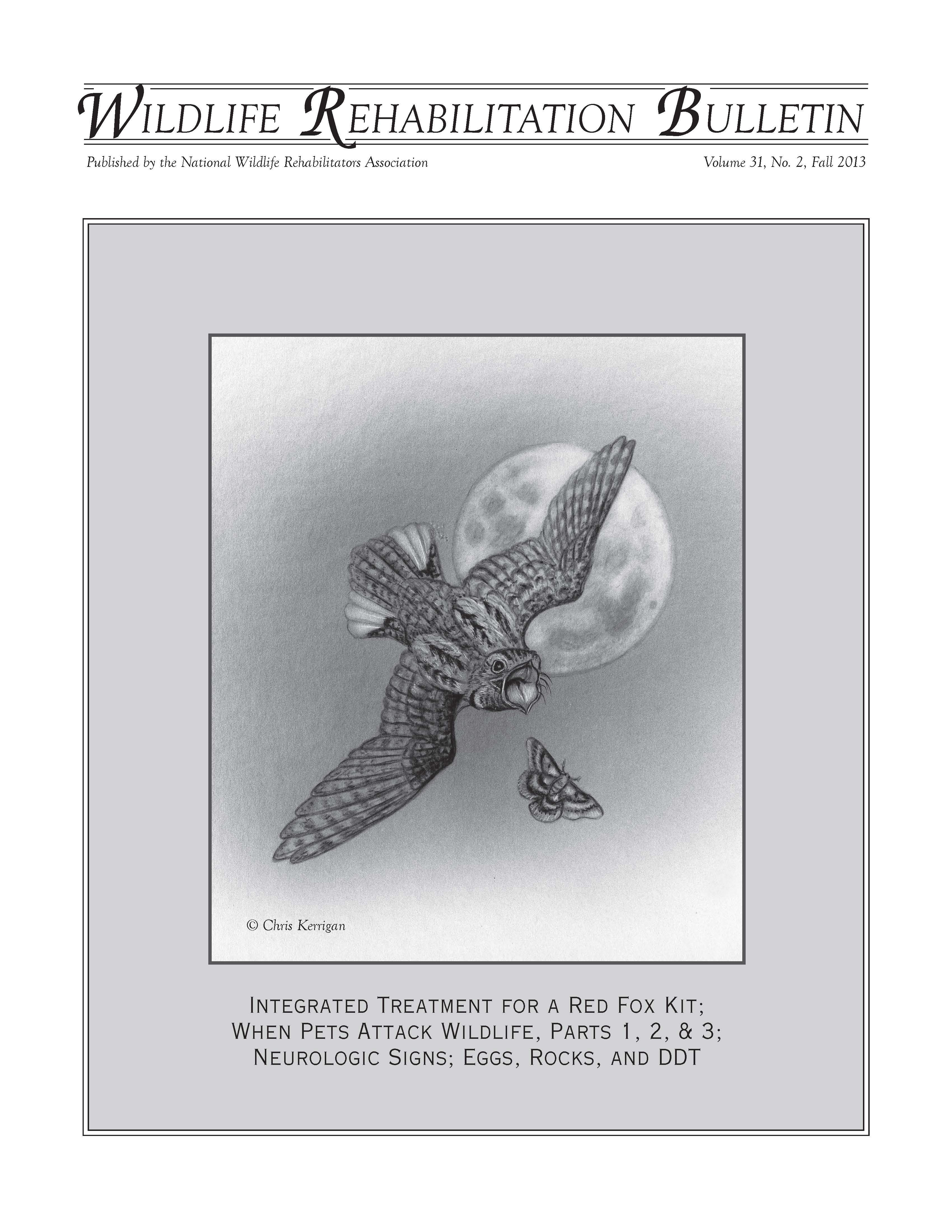 Adult male whip–poor–will (Caprimulgus vociferus). rtwork by Chris Kerrigan.