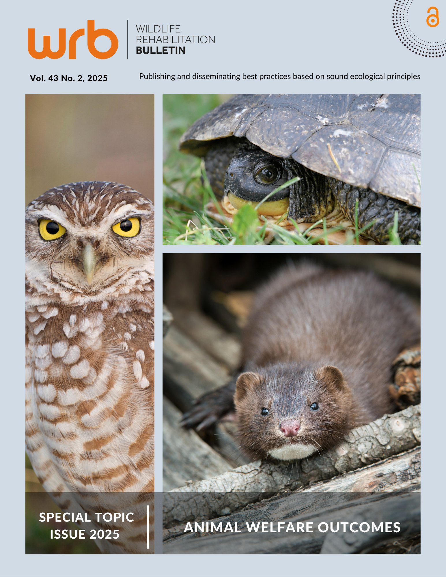 					View Vol. 43 No. 2 (2025): Special Topic Issue—Animal Welfare Outcomes
				